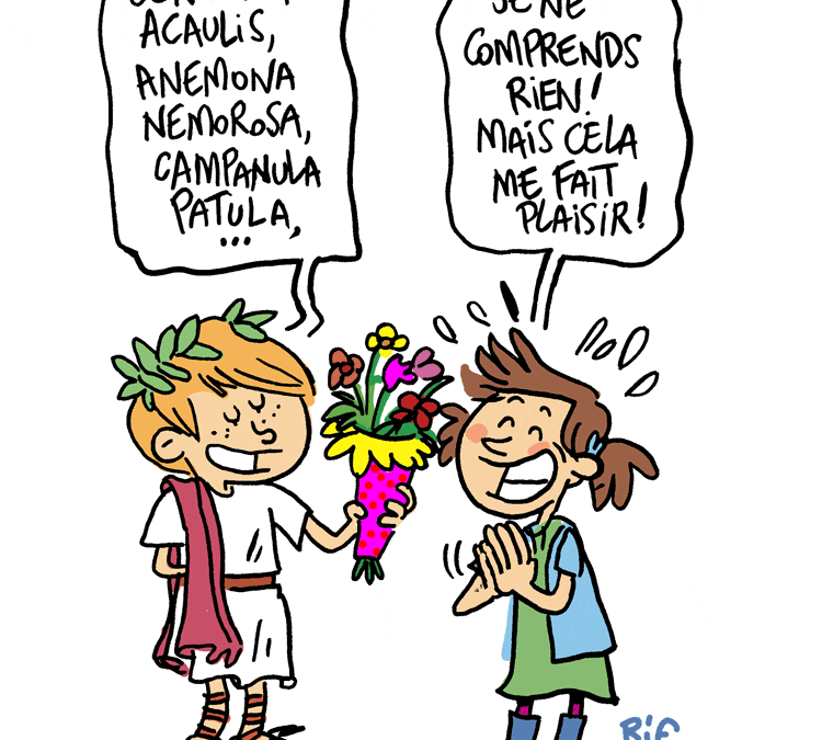 Pourquoi apprendre le latin