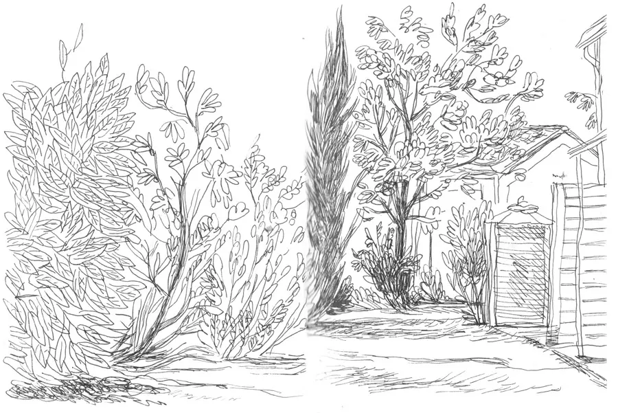 Les jardins du lieu de séjour à Carpentras.
