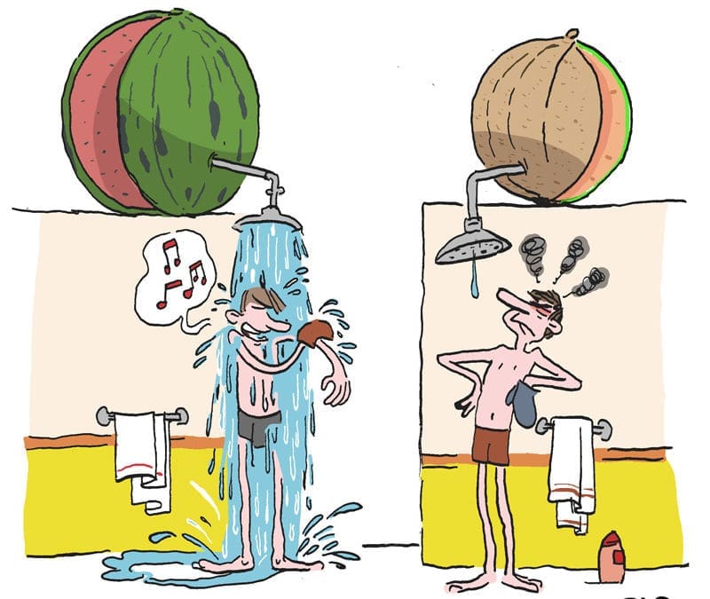 Y-a-t-il plus d’eau dans une pastèque ou un melon ?