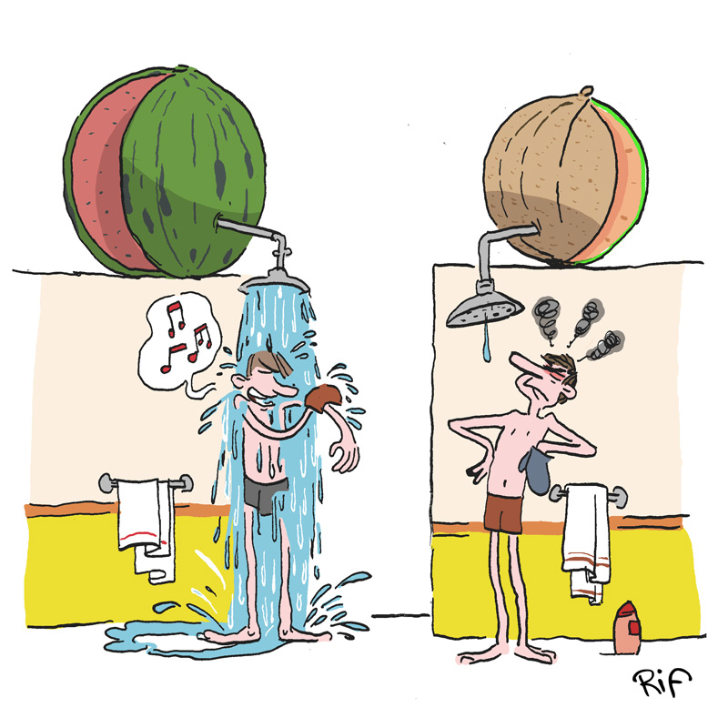 Y-a-t-il plus d’eau dans une pastèque ou un melon ? Illustration