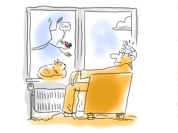 chat àn la fenetre et homme dans fauteuil, dessin oiseau sur branche