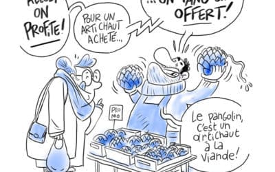 COVID-19, les origines