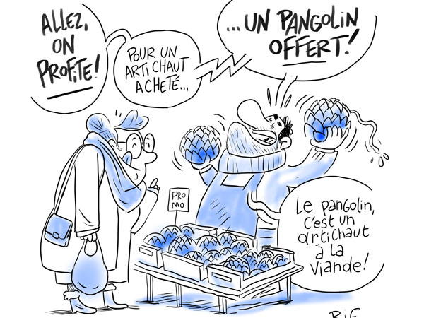 COVID-19, les origines