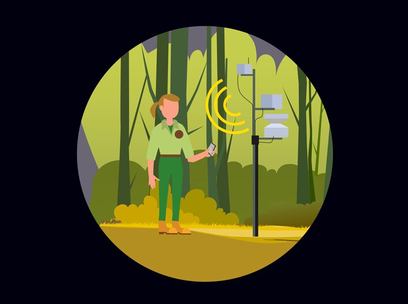 Environmental Observation