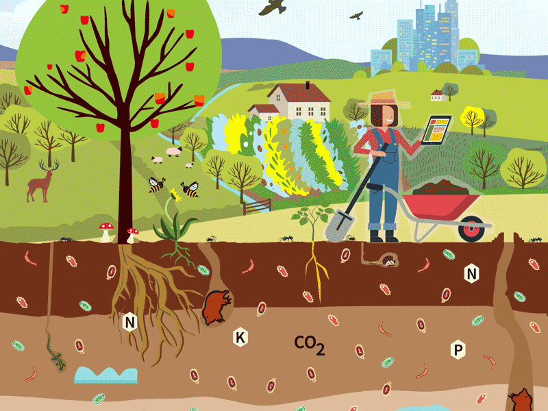 Healthy soils