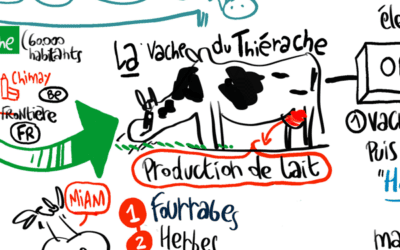 La vache de Thiérache