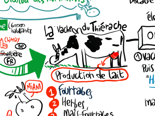 La vache de Thiérache La vache de Thiérache