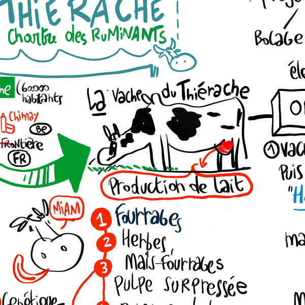 La vache de Thiérache