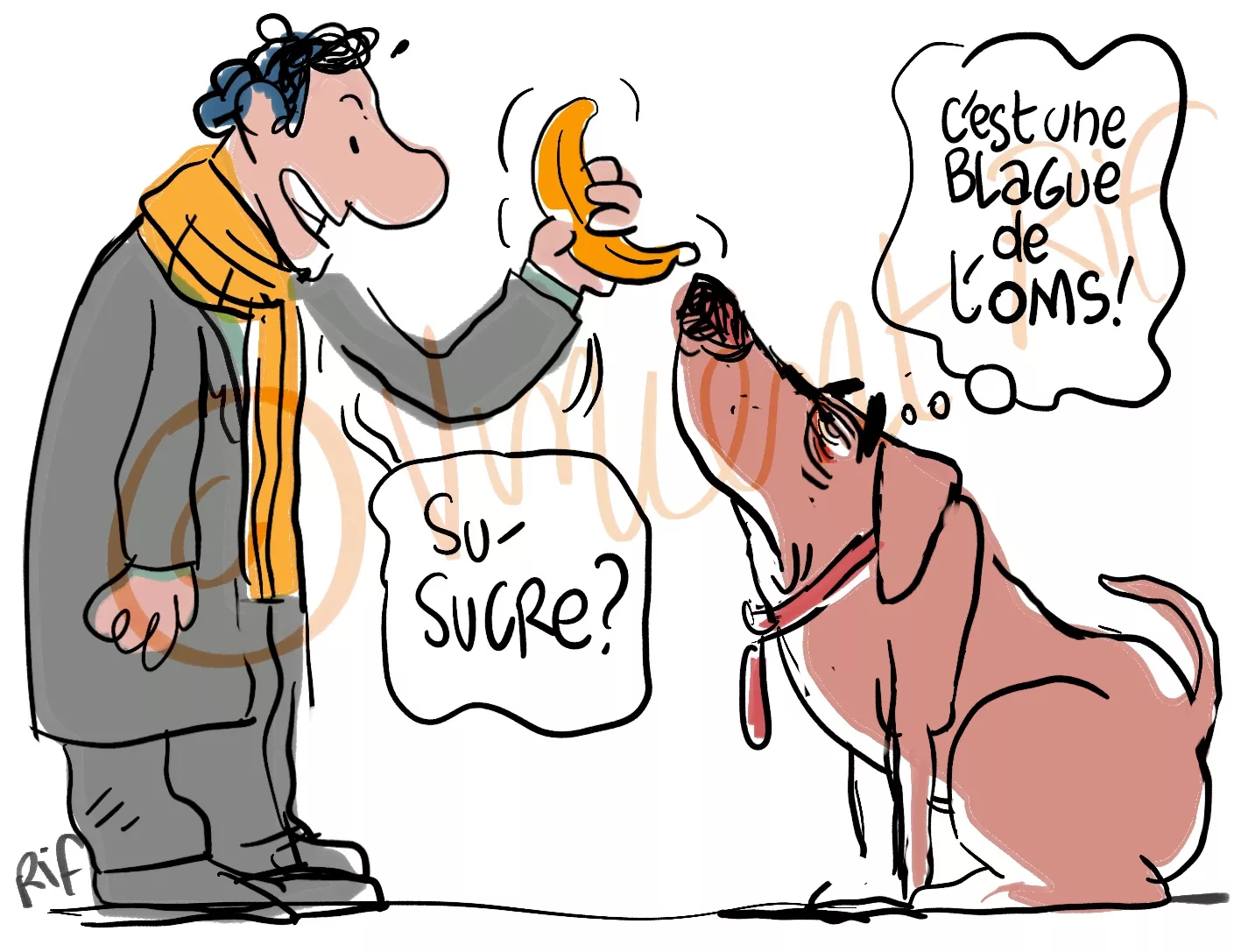 Tromper un chien avec du sucre selon l'OMS.