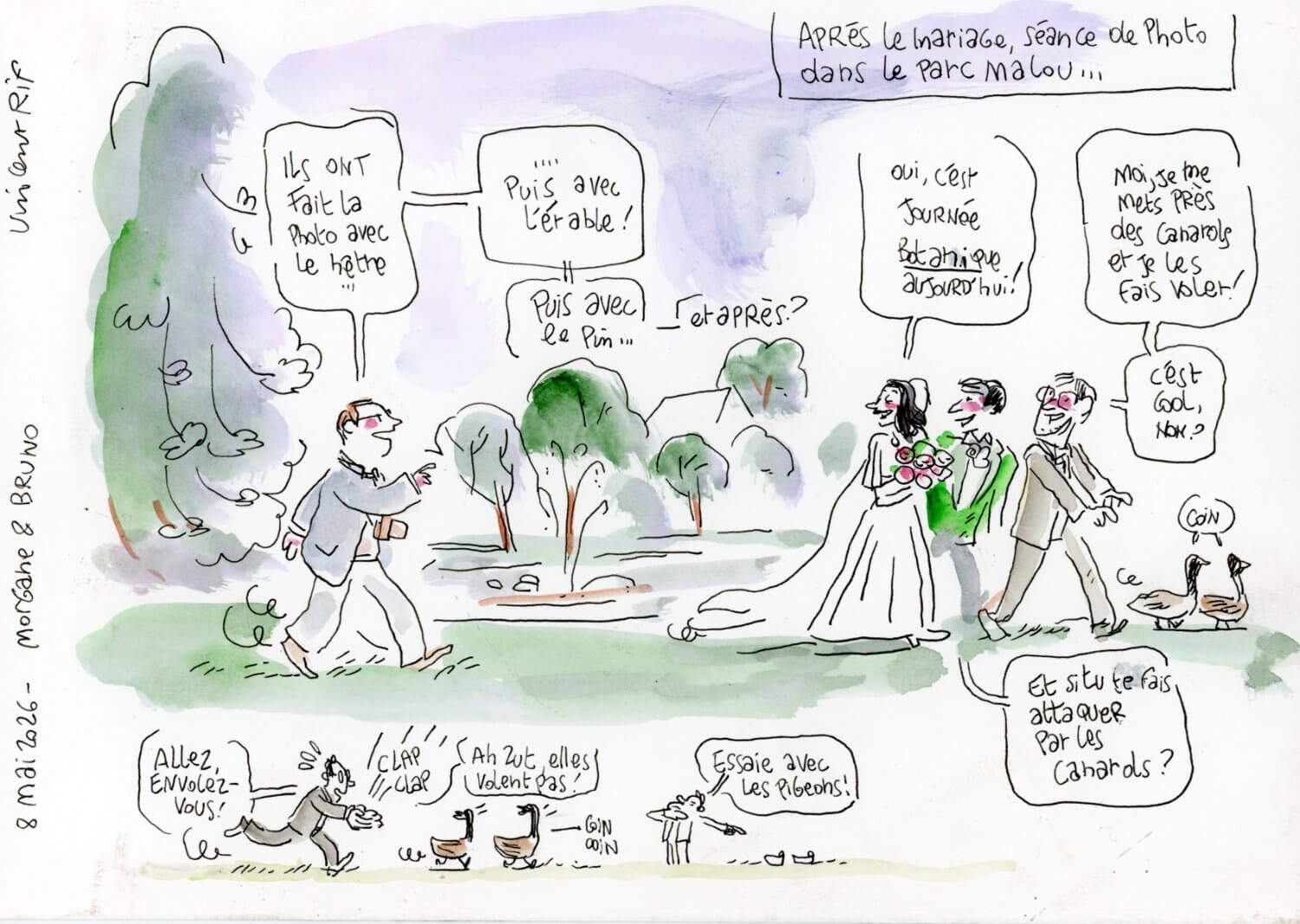 les-oiseaux Dessin de la séance des mariés dans la Parc Malou
